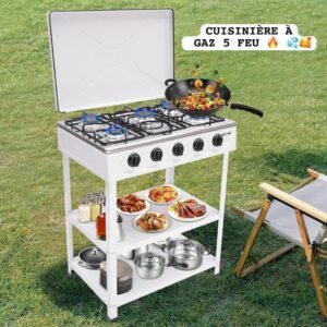 Portable 2-Burner Gas Stove – Stainless Steel LPG Gas Cooker for Home, Outdoor Cooking, Camping & Catering – High-Efficiency Tabletop Gas Hob (2)