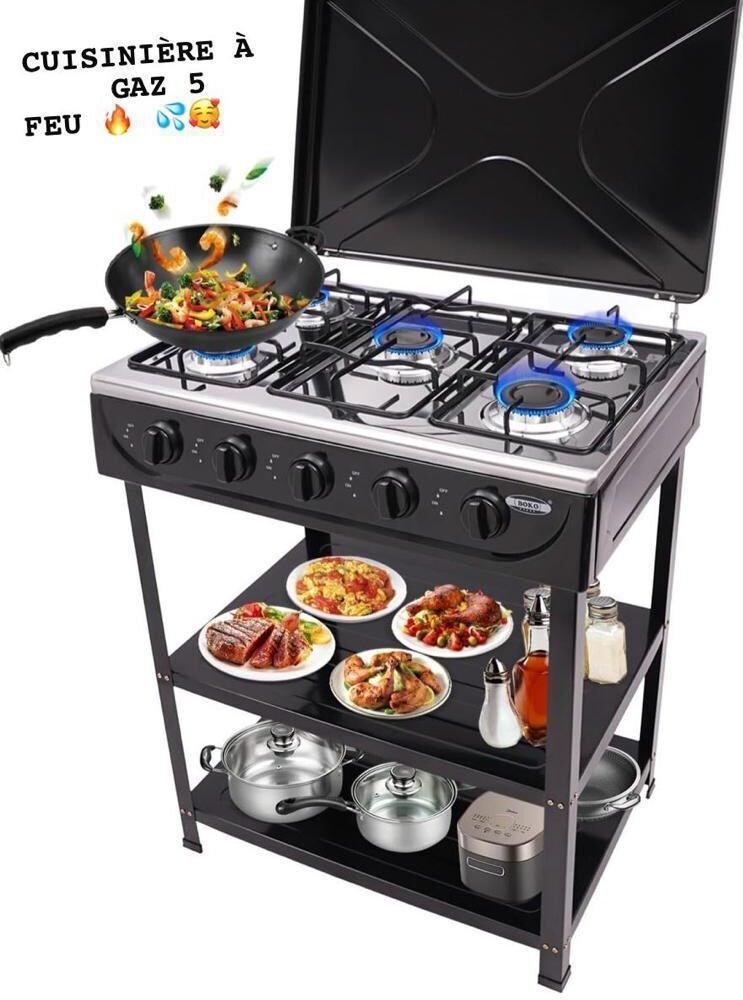 Portable 2-Burner Gas Stove – Stainless Steel LPG Gas Cooker for Home, Outdoor Cooking, Camping & Catering – High-Efficiency Tabletop Gas Hob